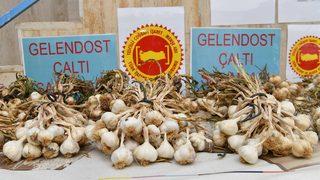 Isparta'nın Çaltı sarımsağı coğrafi işaretle tescillendi