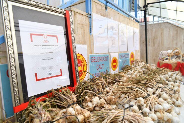 Isparta'nın "Çaltı sarımsağı" coğrafi işaretle tescillendi G3