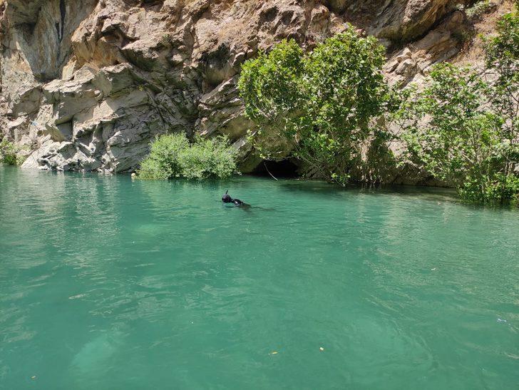 Müküs Çayı'nda akıntıya kapılan hemşire Ayvalıbağ köyü mevkisinde aranıyor G5