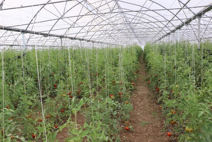 Cezaevi içinde kurulan seranın açılışı yapıldı G1