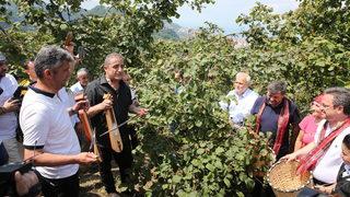 Giresun'da Fındık Hasat Şenliği yapıldı