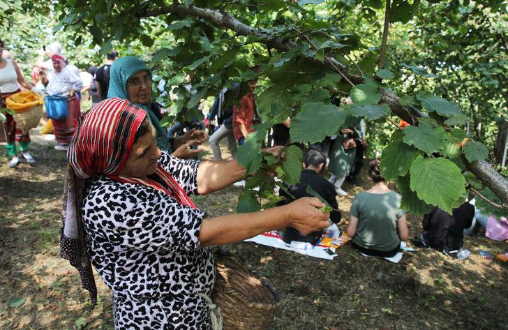 Giresun'da "Fındık Hasat Şenliği" yapıldı G3