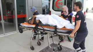 Konya'da kayısı ağacından düşen kişi yaralandı