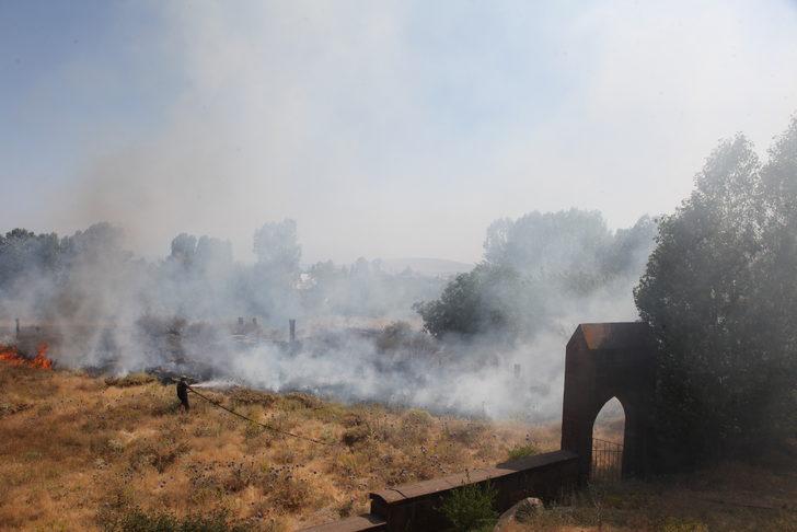 Ahlat'taki tarihi mezarlıkta çıkan yangın söndürüldü G1
