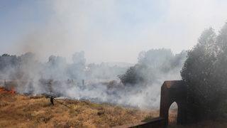 Ahlat'taki tarihi mezarlıkta çıkan yangın söndürüldü