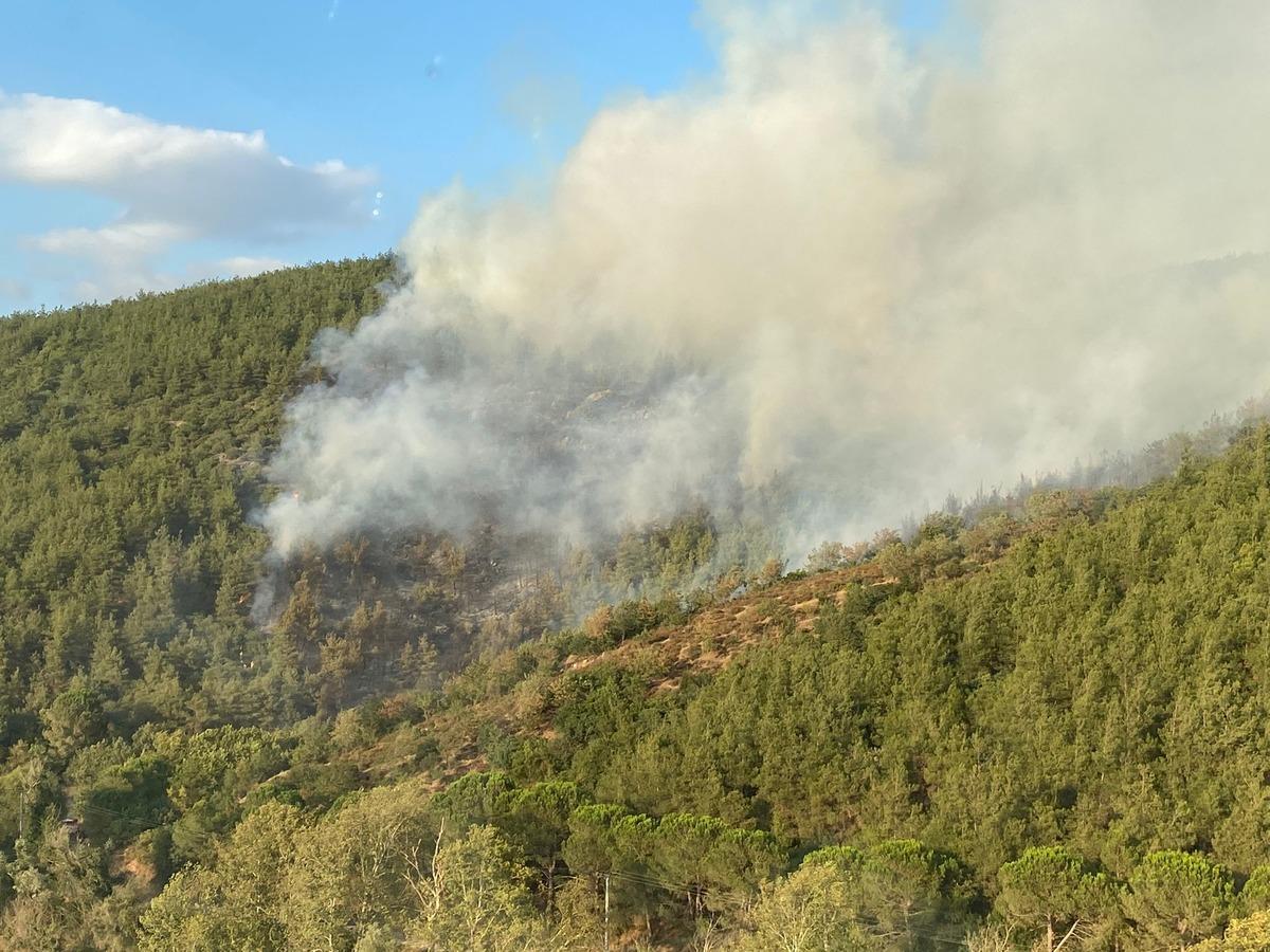 G&Uuml;NCELLEME - Balıkesir'de &ccedil;ıkan orman yangınına karadan ve havadan m&uuml;dahale ediliyor