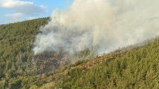 GÜNCELLEME - Balıkesir'de çıkan orman yangınına karadan ve havadan müdahale ediliyor
