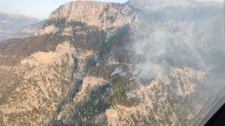 GÜNCELLEME 2 - Mersin'deki orman yangınına müdahale sürüyor