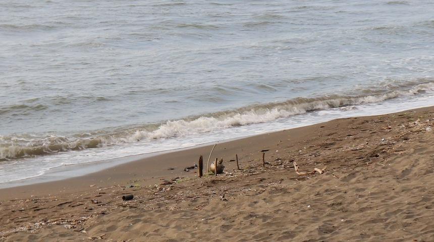 Ordu sahilinde deniz mayını ateşleme tüpü bulundu