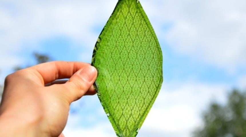 Yapay ağaçlardan enerji üretimi