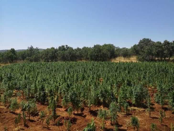 Diyarbakır'da "Eren Abluka-30 Şehit Jandarma Uzman Çavuş İlyas Genel Operasyonu" başlatıldı G4