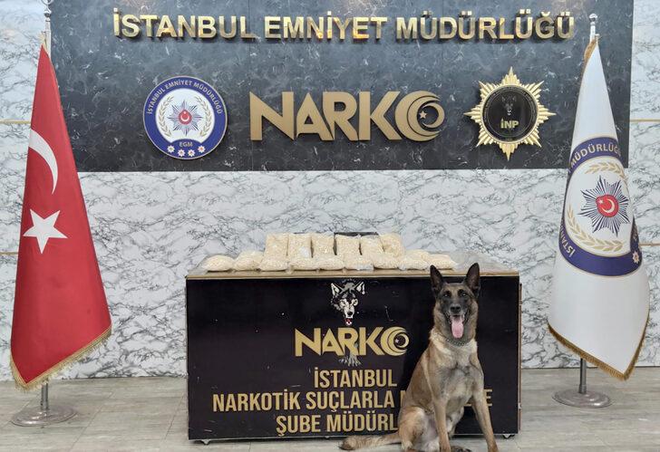 İstanbul'da kargo paketinde 75 bin uyuşturucu hap ele geçirildi G2