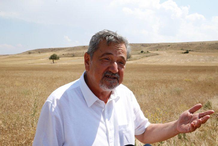 Eskişehir'de yağlı tohum bitkisi pelemir hasadı yapıldı G4