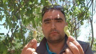 Bu eriği görenler şaşırıyor