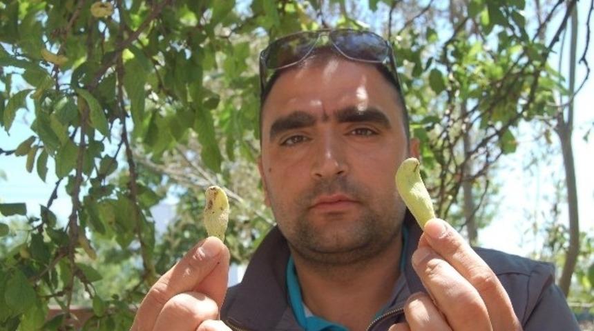 Bu eriği görenler şaşırıyor