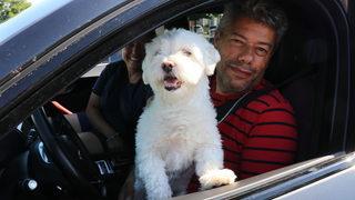 Can dostuyla gurbet yolculuğu yapıyor