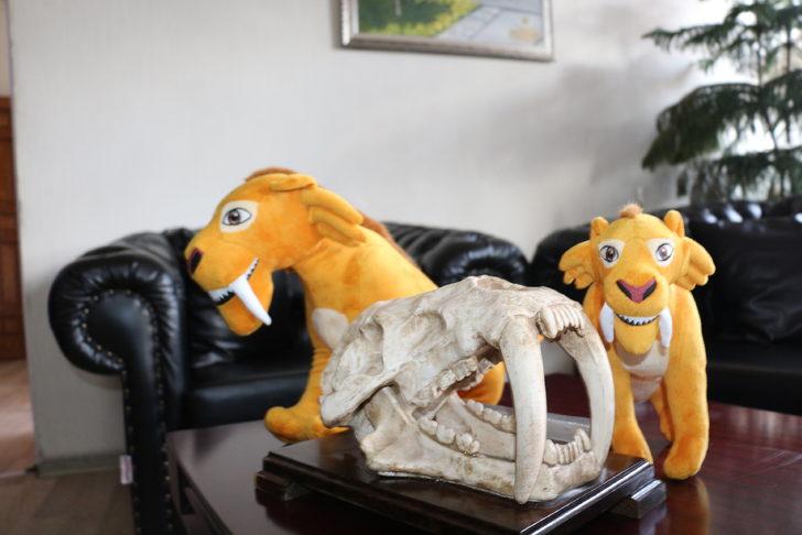Kılıç dişli kaplan fosili tuz festivalinin maskotu oldu G2