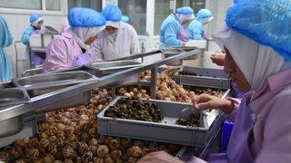 Biz yüzüne bakmıyoruz! Bilecik'ten dünyaya kapış kapış satıyoruz