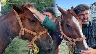 Boynu kesilen atının hayatını bahçe hortumuyla kurtardı! 'Hayretler içinde kalanlar var'