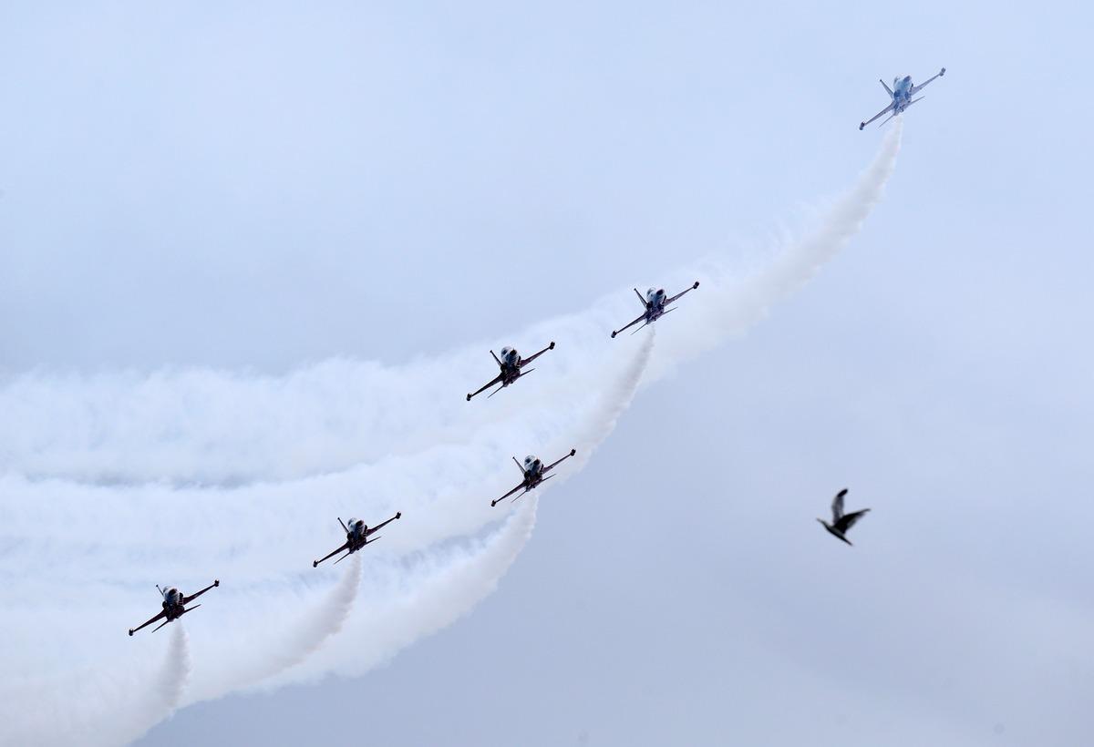 T&uuml;rk Yıldızları, Trabzon semalarında g&ouml;steri u&ccedil;uşu yaptı