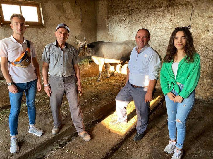 Kurban Bayramı'nda kaçtıktan 25 gün sonra yakalanan ineği "Ahbap" satın aldı G1