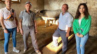Kurban Bayramı'nda kaçtıktan 25 gün sonra yakalanan ineği Ahbap satın aldı