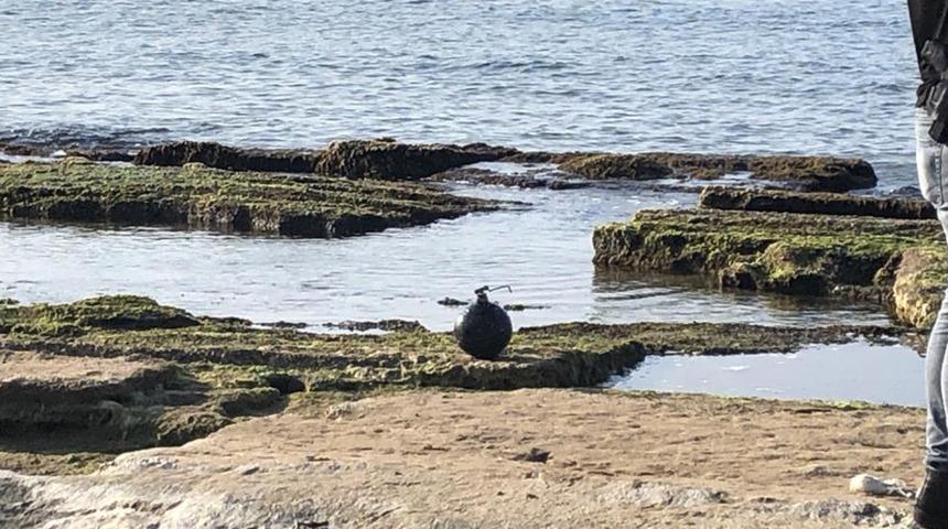 Denize giren vatandaşlar fark etti! Sinop'ta panikleten görüntü...