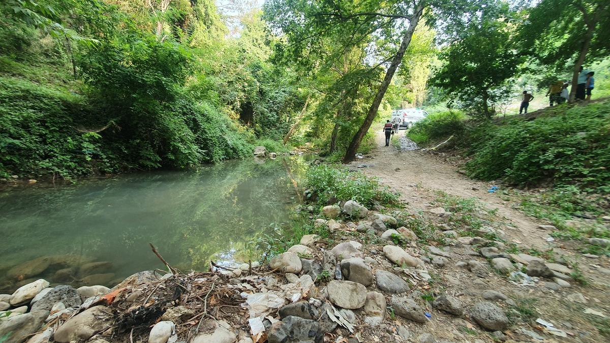 Osmaniye'de dereye d&uuml;şen yaşlı adam boğuldu