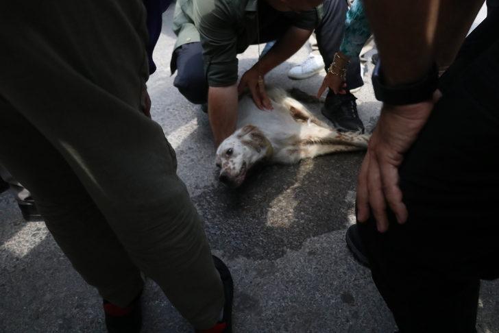 İYİ Parti Genel Başkanı Meral Akşener, Yalova'da ziyaretlerde bulundu G5
