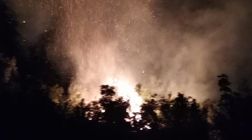 Hatay'daki orman yangını kontrol altına alındı