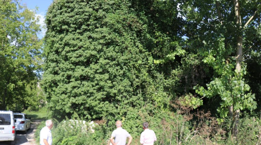 İstanbul'u Osmanlı’dan korumak için yapılmıştı, şimdi her yeri dökülüyor: Tarih, gözümüzün önünde eriyor