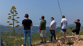 Antalya'da 30 yıl önce süs için dikilen Agave bitkisi çiçek açtı