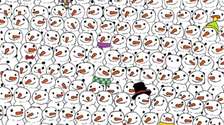 Sosyal medyanın yeni g&uuml;ndemi: Gizlenmiş pandayı g&ouml;rebildiniz mi?