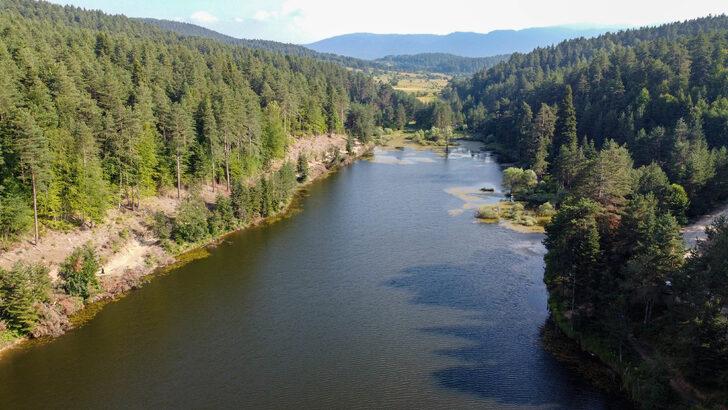 Bilecik'teki Bozcaarmut Göleti doğaseverlerce ziyaret ediliyor G4