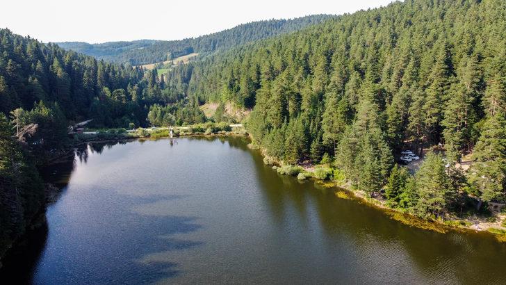 Bilecik'teki Bozcaarmut Göleti doğaseverlerce ziyaret ediliyor G5