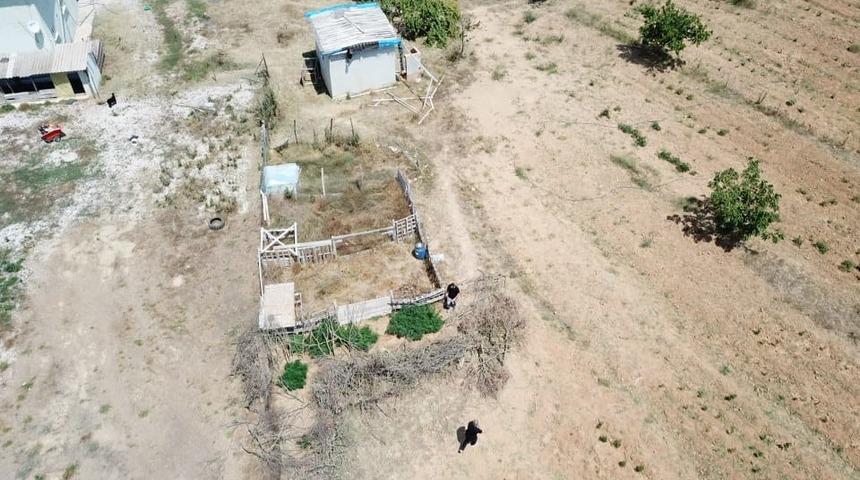 Tekirdağ'da kenevir yetiştirdikleri iddiasıyla yakalanan 4 kişi tutuklandı