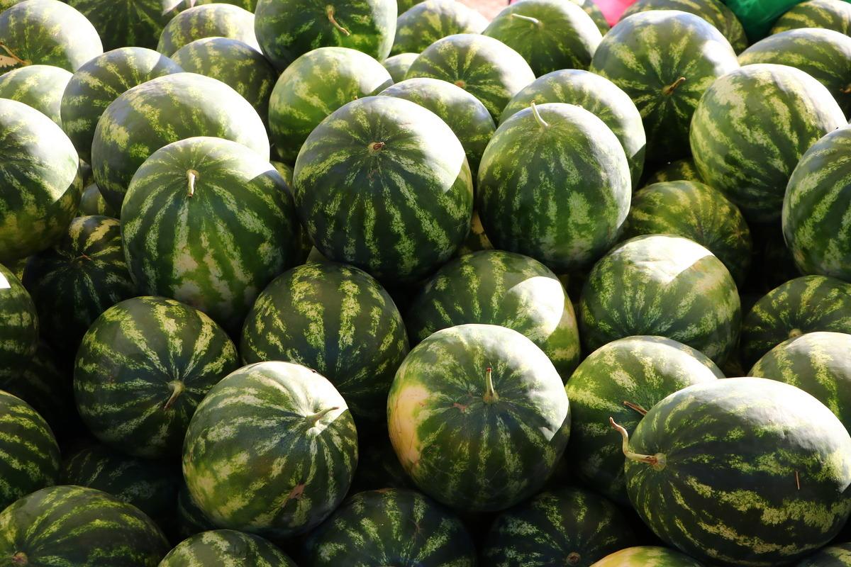 Tekirdağ'da "Ferhadanlı Karpuz Şenliği" d&uuml;zenlendi