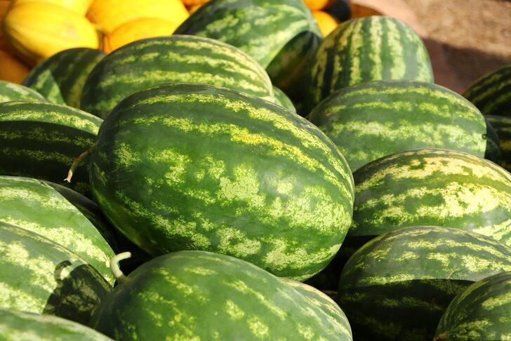 Tekirdağ'da "Ferhadanlı Karpuz Şenliği" düzenlendi G5