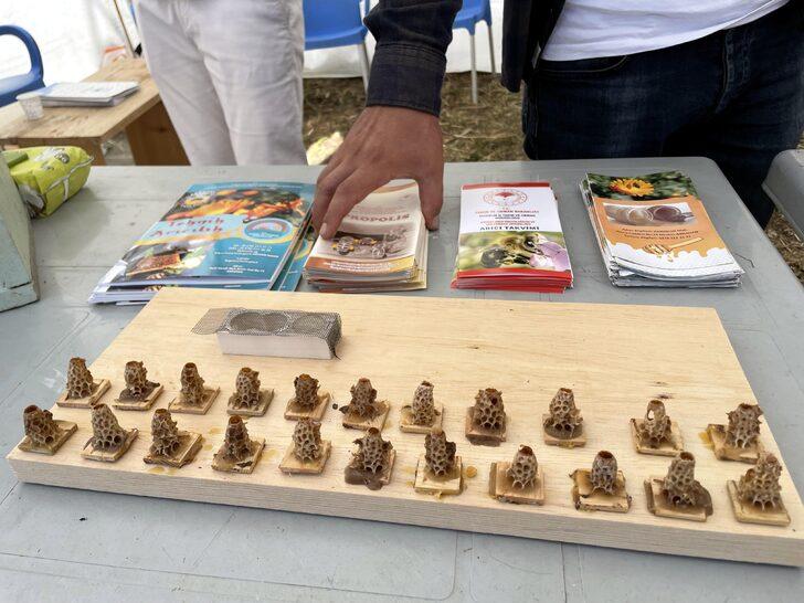 Ardahan'ın tescilli çiçek balı festivalde tanıtıldı G3