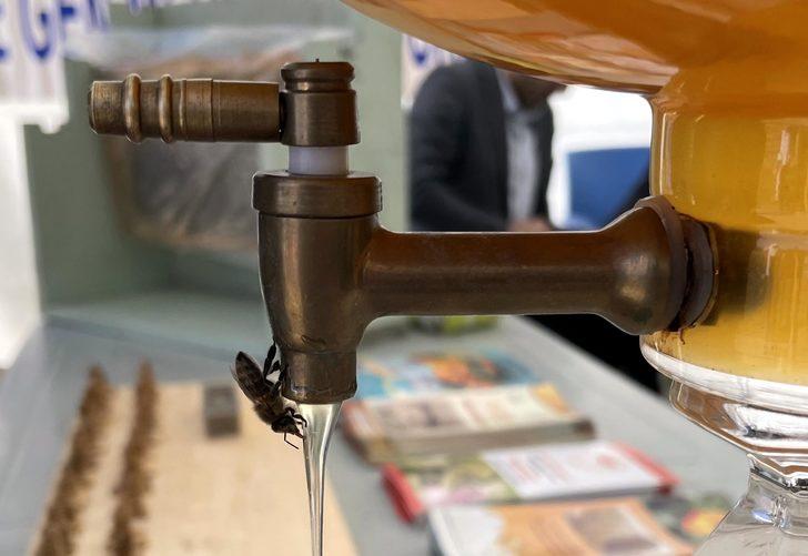 Ardahan'ın tescilli çiçek balı festivalde tanıtıldı G5