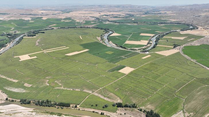 Sivas'ta ayçiçeği ekim alanı arttı G1