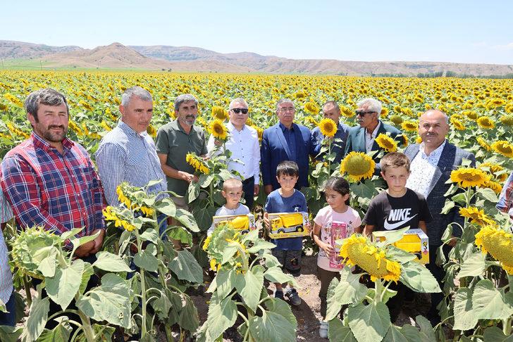 Sivas'ta ayçiçeği ekim alanı arttı G5