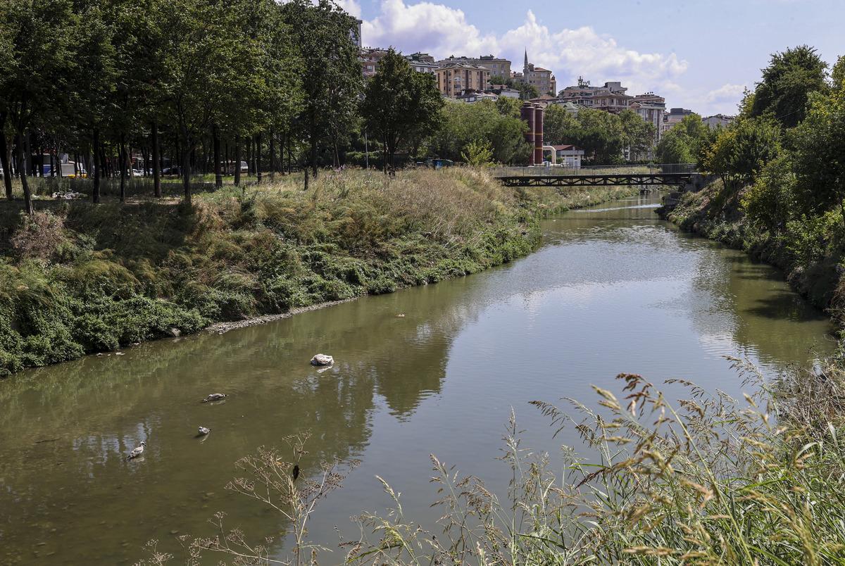 Alibeyk&ouml;y Deresi'ndeki balık &ouml;l&uuml;mleri i&ccedil;in inceleme başlatıldı