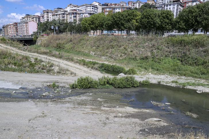 Alibeyköy Deresi'ndeki balık ölümleri için inceleme başlatıldı G2