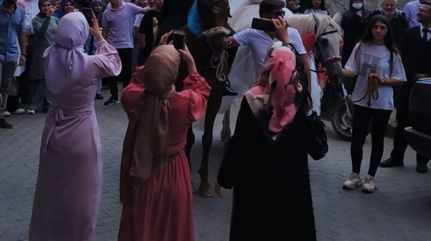 Karabük'te atlara binen gelin ve damat şehir turu attı