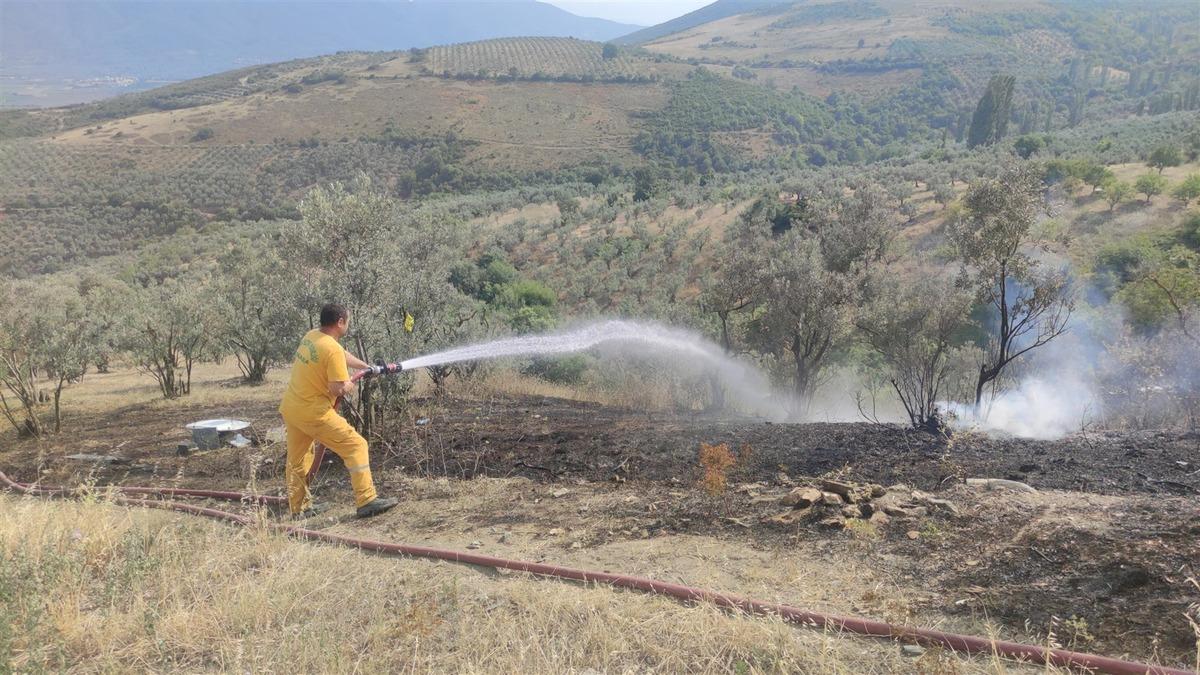 Bursa'da zeytinlikte &ccedil;ıkan yangın s&ouml;nd&uuml;r&uuml;ld&uuml;