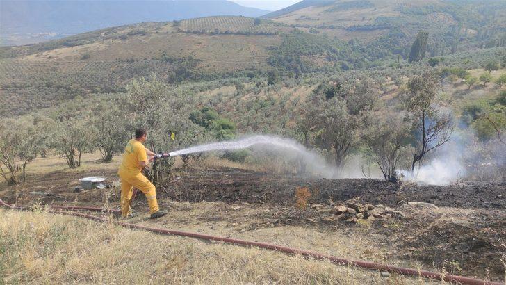 Bursa'da zeytinlikte çıkan yangın söndürüldü G1