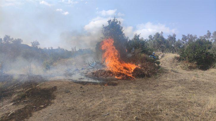 Bursa'da zeytinlikte çıkan yangın söndürüldü G2