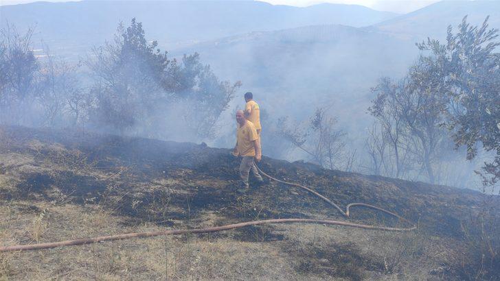Bursa'da zeytinlikte çıkan yangın söndürüldü G3