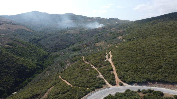 Bursa'da zeytinlikte çıkan yangın söndürüldü G4